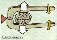 cascanueces